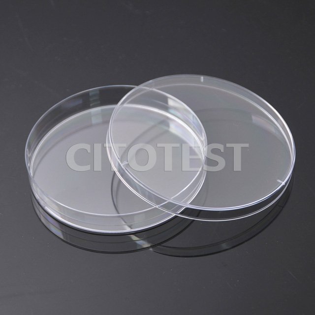 Caja Petri Rodac 65 x 15 mm Estéril caja de 1000 unidades Caja Petri Rodac 65 x 15 mm Estéril caja de 1000 unidades